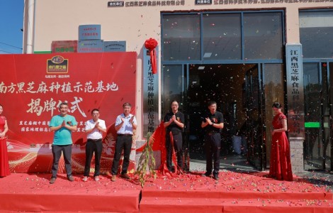 南方黑芝麻種植示范基地瑞昌揭牌：全產業鏈布局再升級