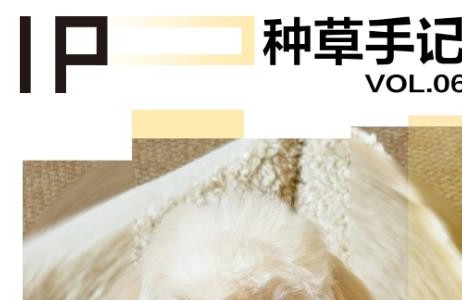 「小貓小狗書」助品牌玩轉亞寵展，精準滲透養寵人群